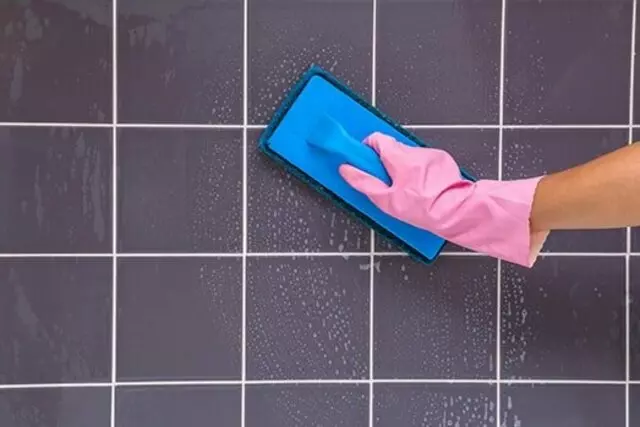 2 Men & A Dame Cleaning