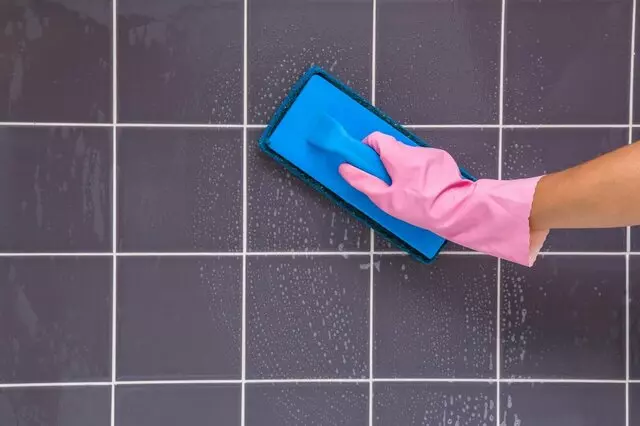 2 Men & A Dame Cleaning