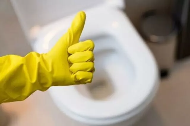 2 Men & A Dame Cleaning