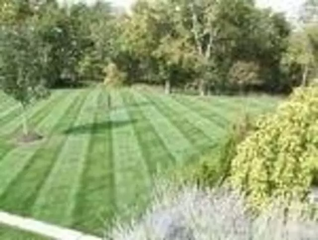 A Cut Above Lawn Care DSM