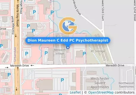 Dion Maureen C Edd PC Psychotherapist