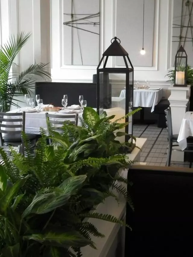 +39 Italian Restaurant Market Cantina