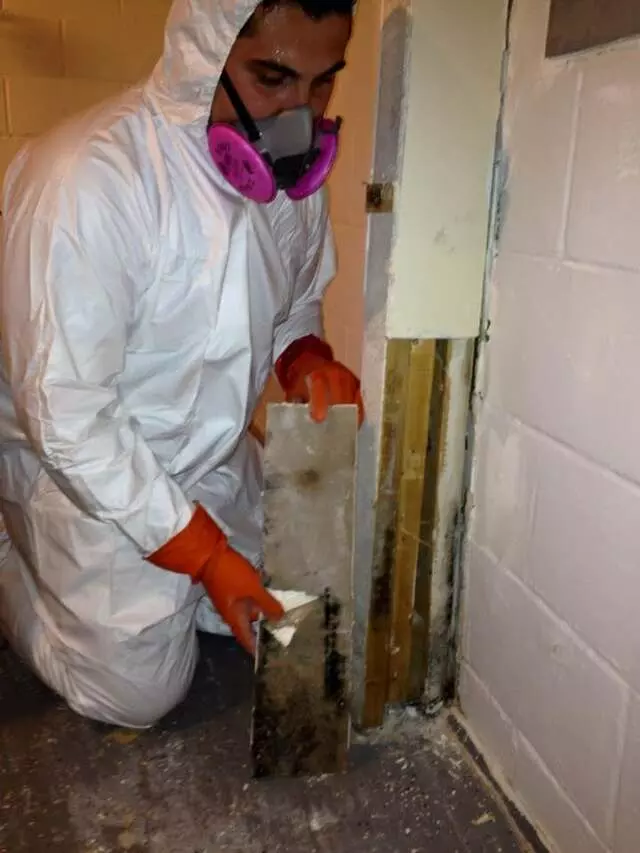 AJ’s Cleaning & Restoration