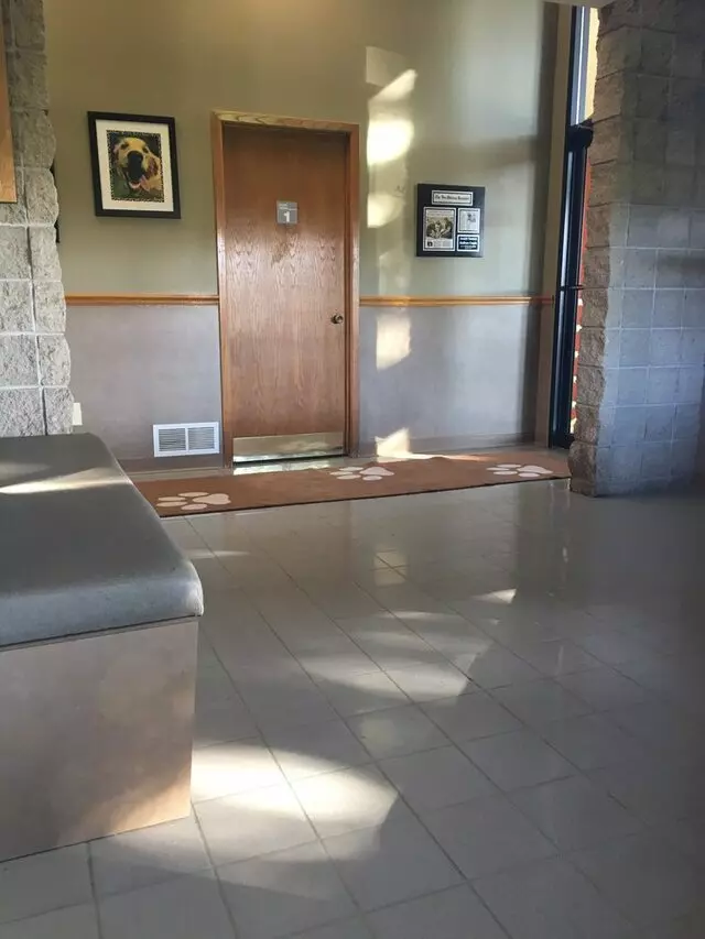 Avondale Pet Resort