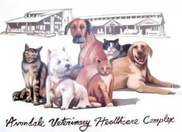 Avondale Pet Resort