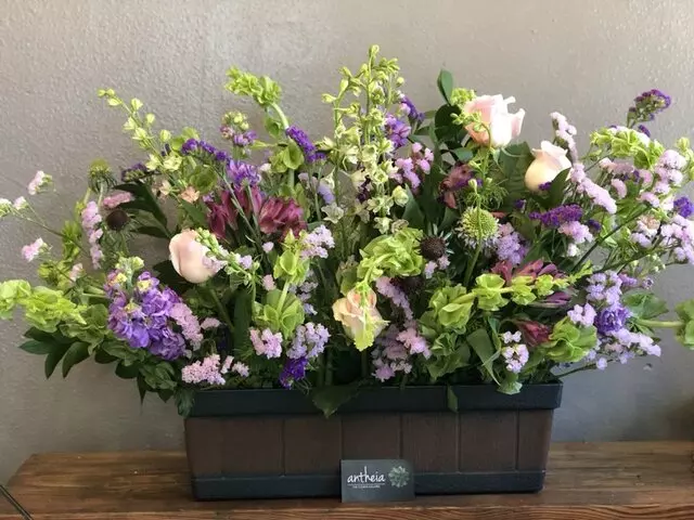 Antheia The Flower Galleria