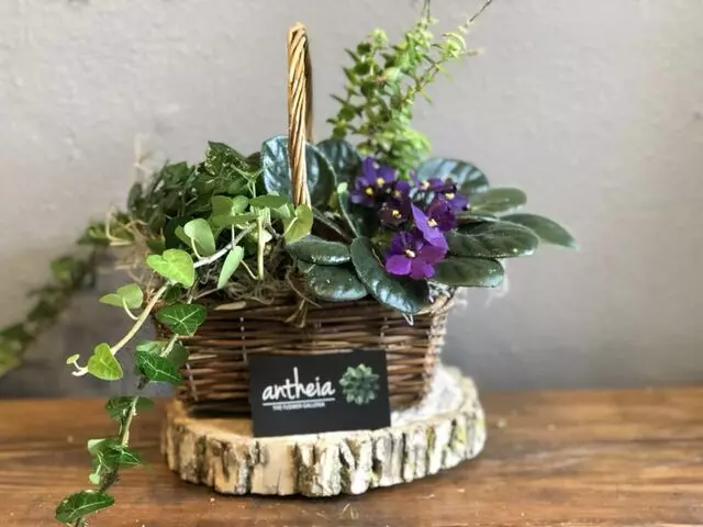 Antheia The Flower Galleria