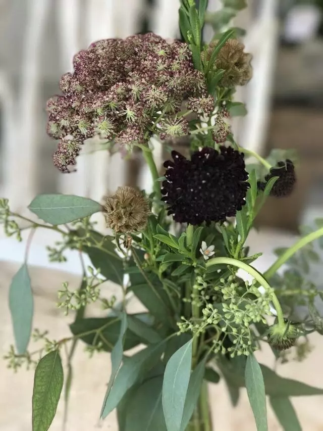Antheia The Flower Galleria