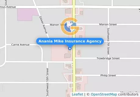 Anania Mike Insurance Agency