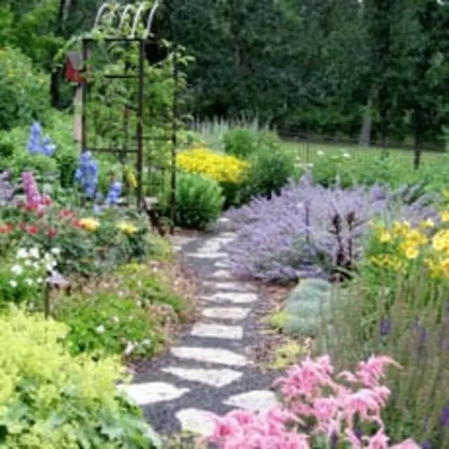 A+ Lawn & Landscape