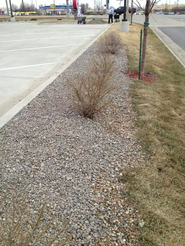 #1 Lawncare
