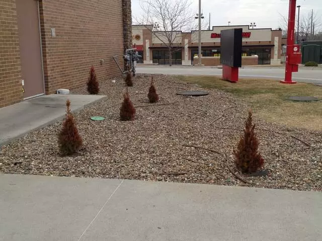 #1 Lawncare