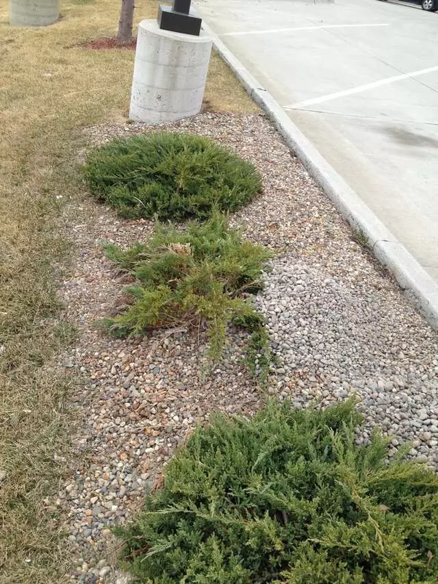 #1 Lawncare