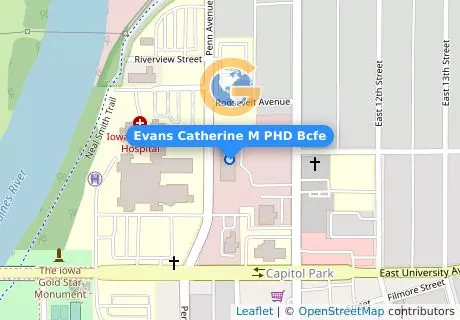 Evans Catherine M PHD Bcfe
