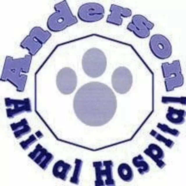 Anderson Animal Hospital