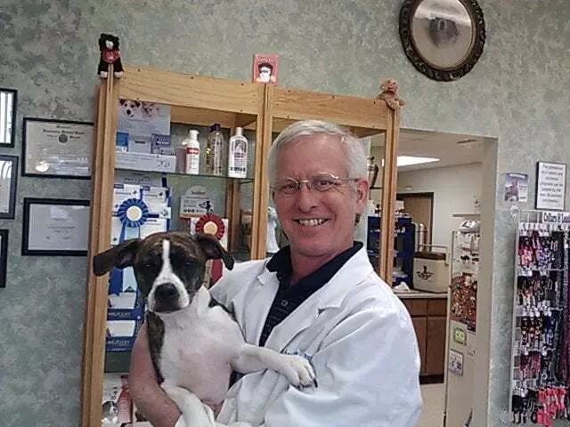 Anderson Animal Hospital