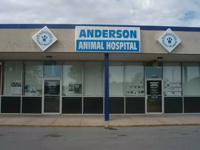Anderson Animal Hospital