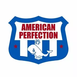 American Perfection Basement Waterproofing