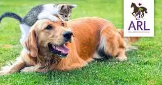 Animal Rescue League of Iowa, Inc.