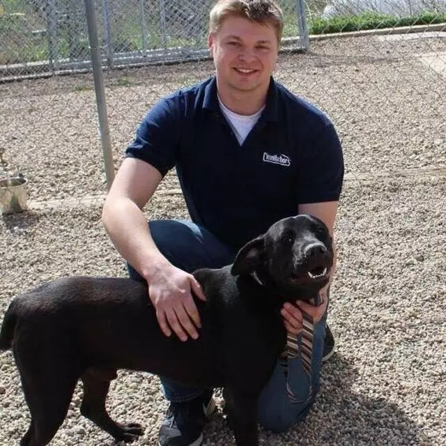 Afford-A-Care Pet Hospital