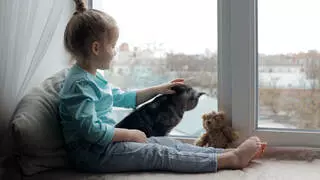 BluePearl Pet Hospital